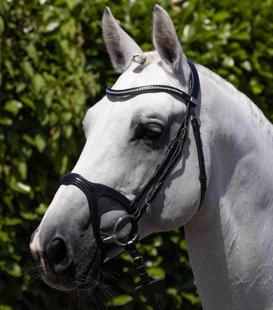 Premier Equine San Paolo Anatomical Bridle - N P Equestrian & Pet Supplies Ltd