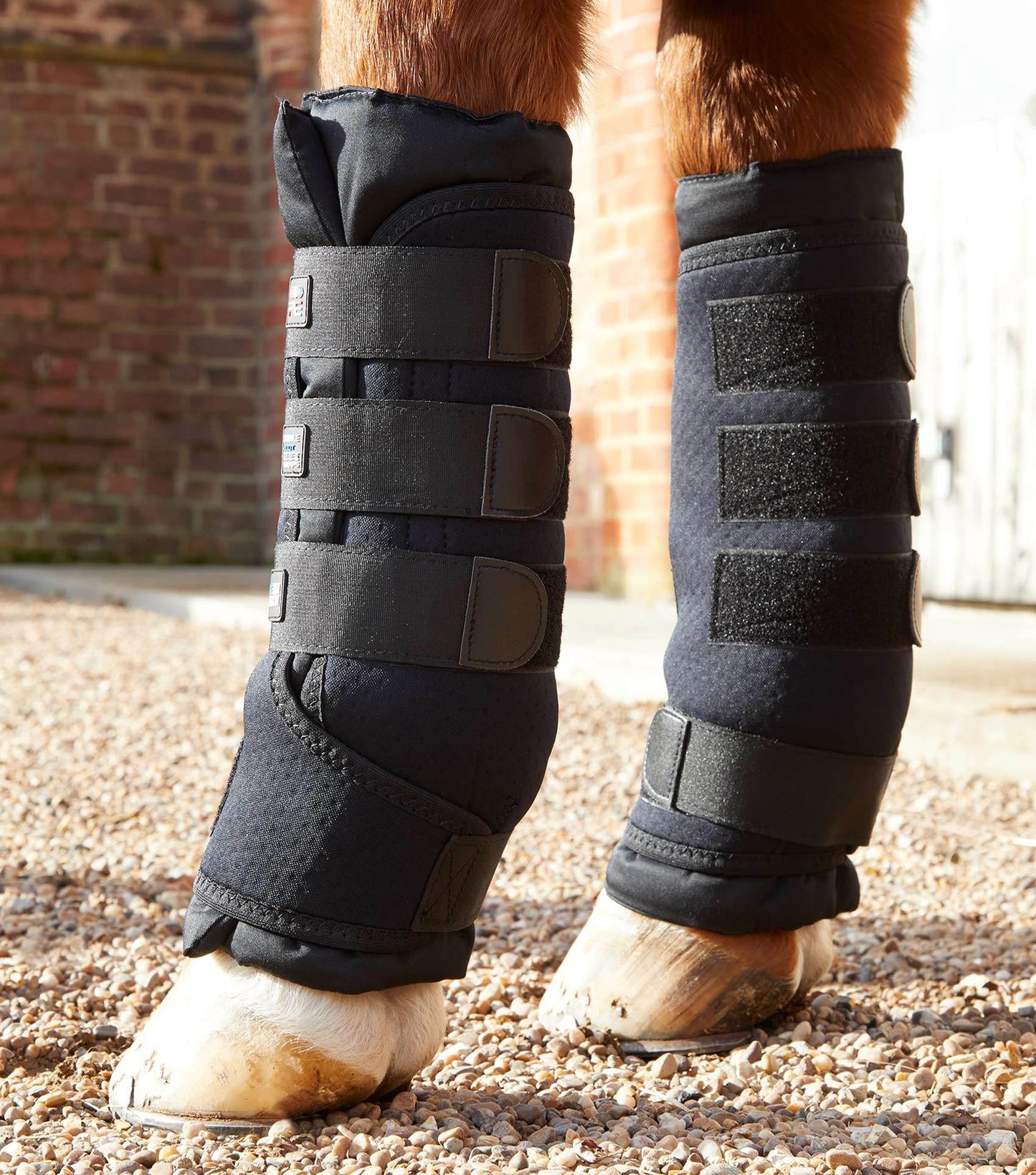 Premier Equine Stable Boot Wraps Inc. Liners - N P Equestrian & Pet Supplies Ltd