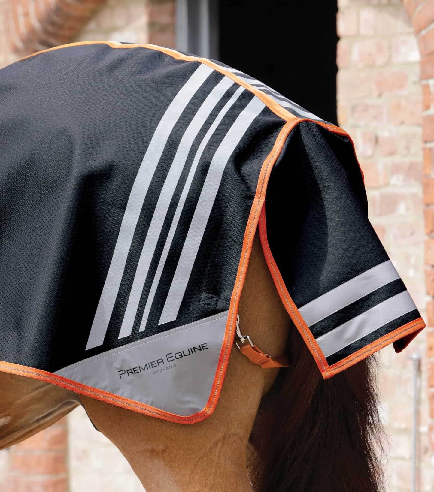 Premier Equine Stratus Horse Exercise Sheet Black - N P Equestrian & Pet Supplies Ltd