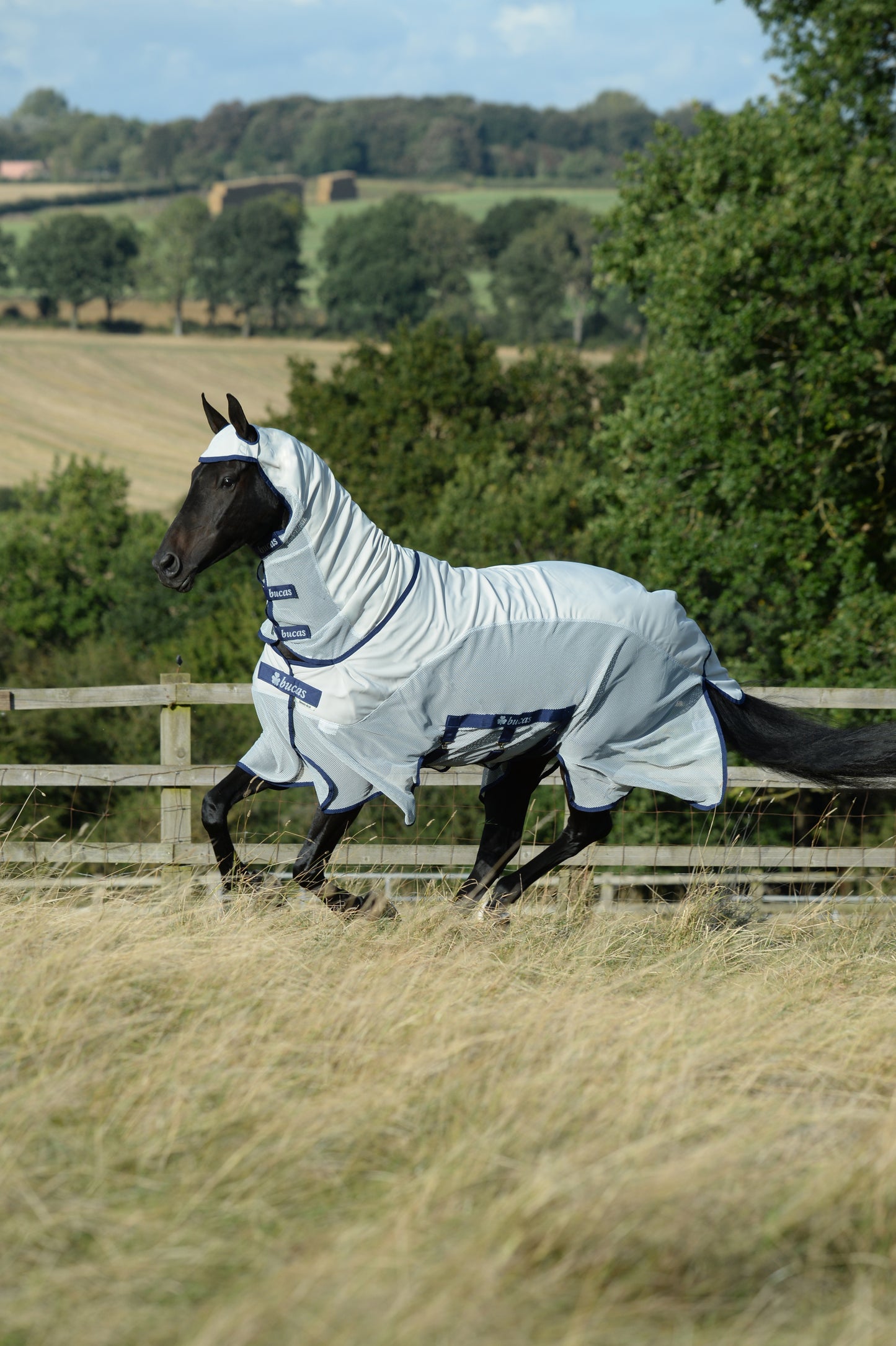 Bucas Sweet-Itch X Light Combi Big Neck Fly Rug - Silver