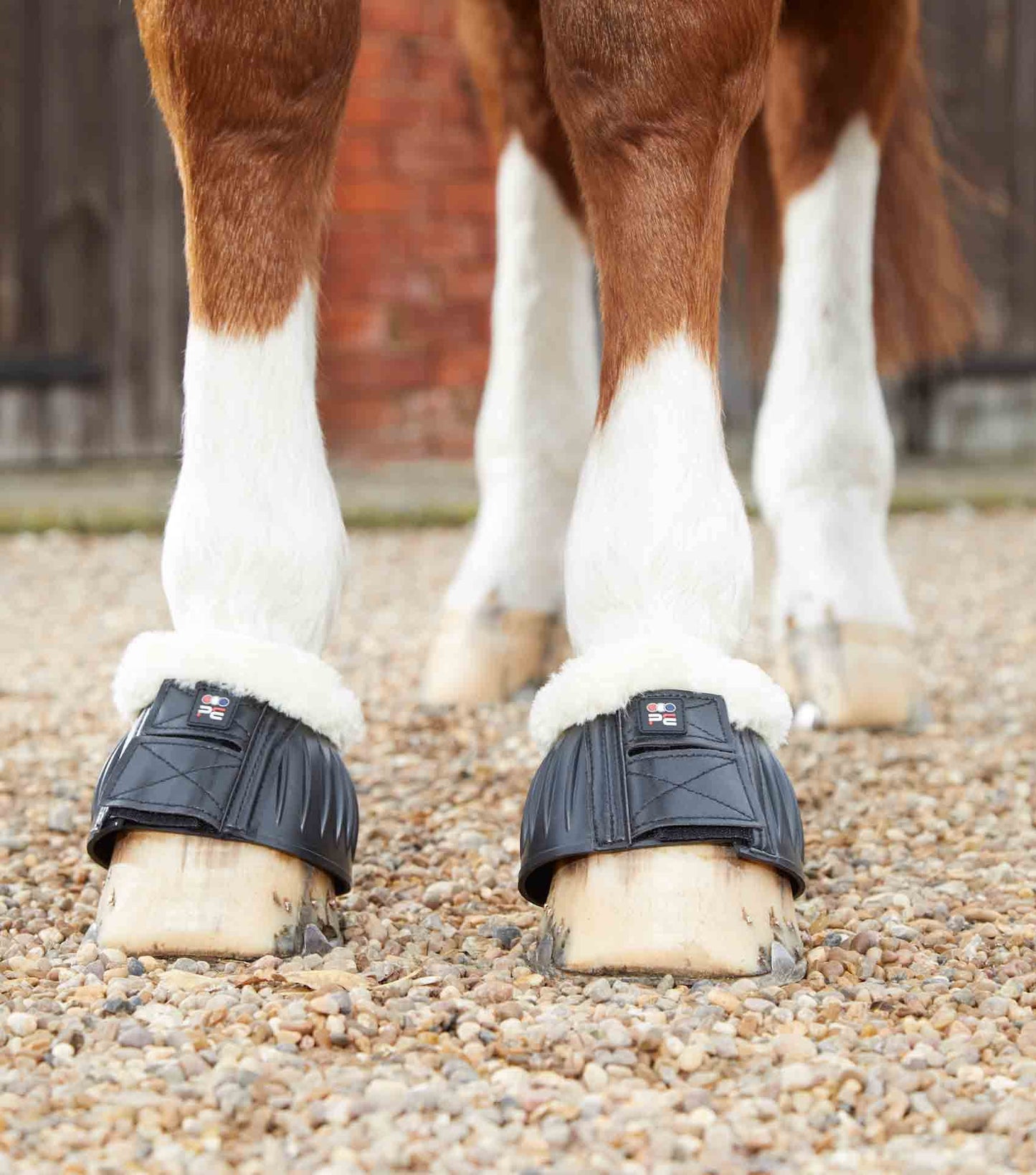 Premier Equine Techno Wool Rubber Bell Over Reach Boots - N P Equestrian & Pet Supplies Ltd