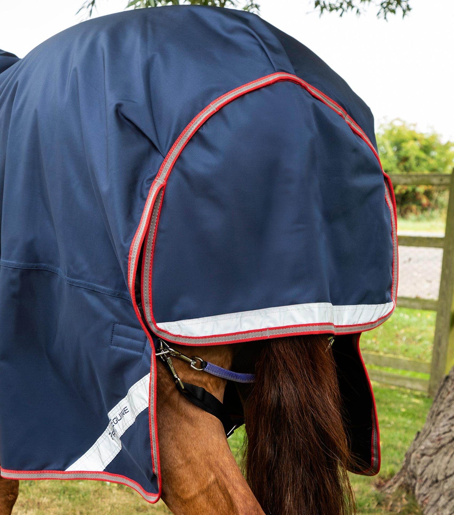 Premier Equine Titan 100g Turnout Rug with Snug-Fit Neck Cover - N P Equestrian & Pet Supplies Ltd