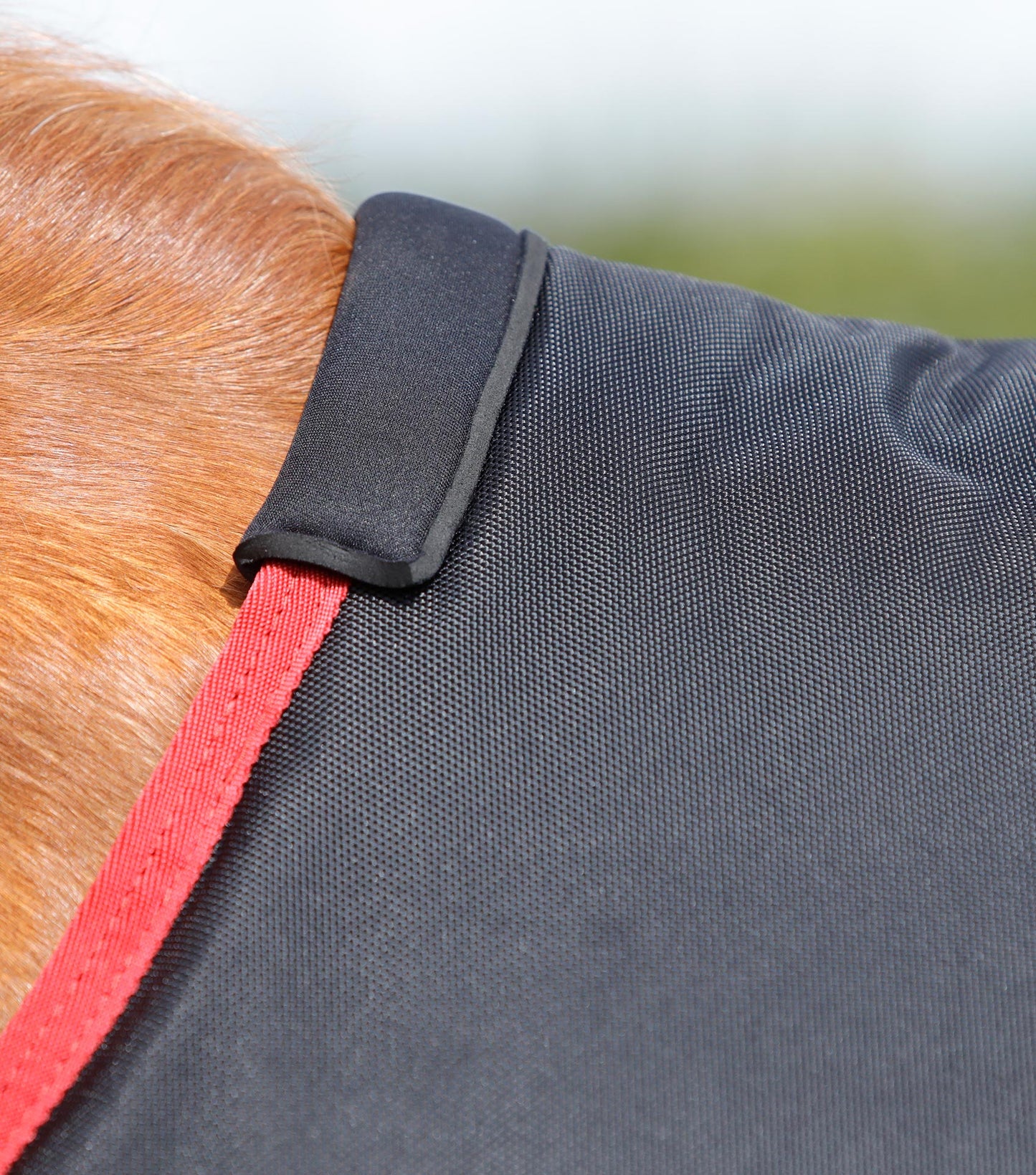 Premier Equine Titan 450g Original Turnout Rug Black