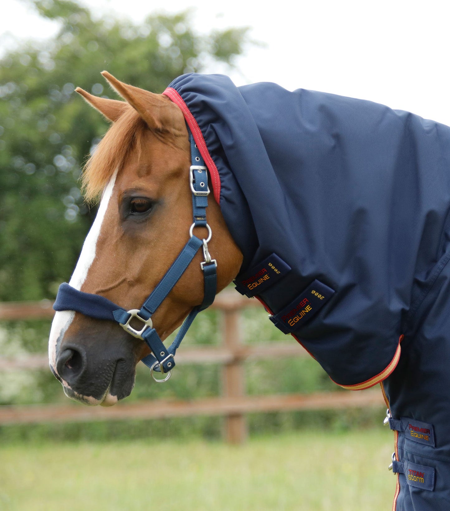Premier Equine Titan Storm 450g Combo Turnout Rug with Snug-Fit Neck Navy