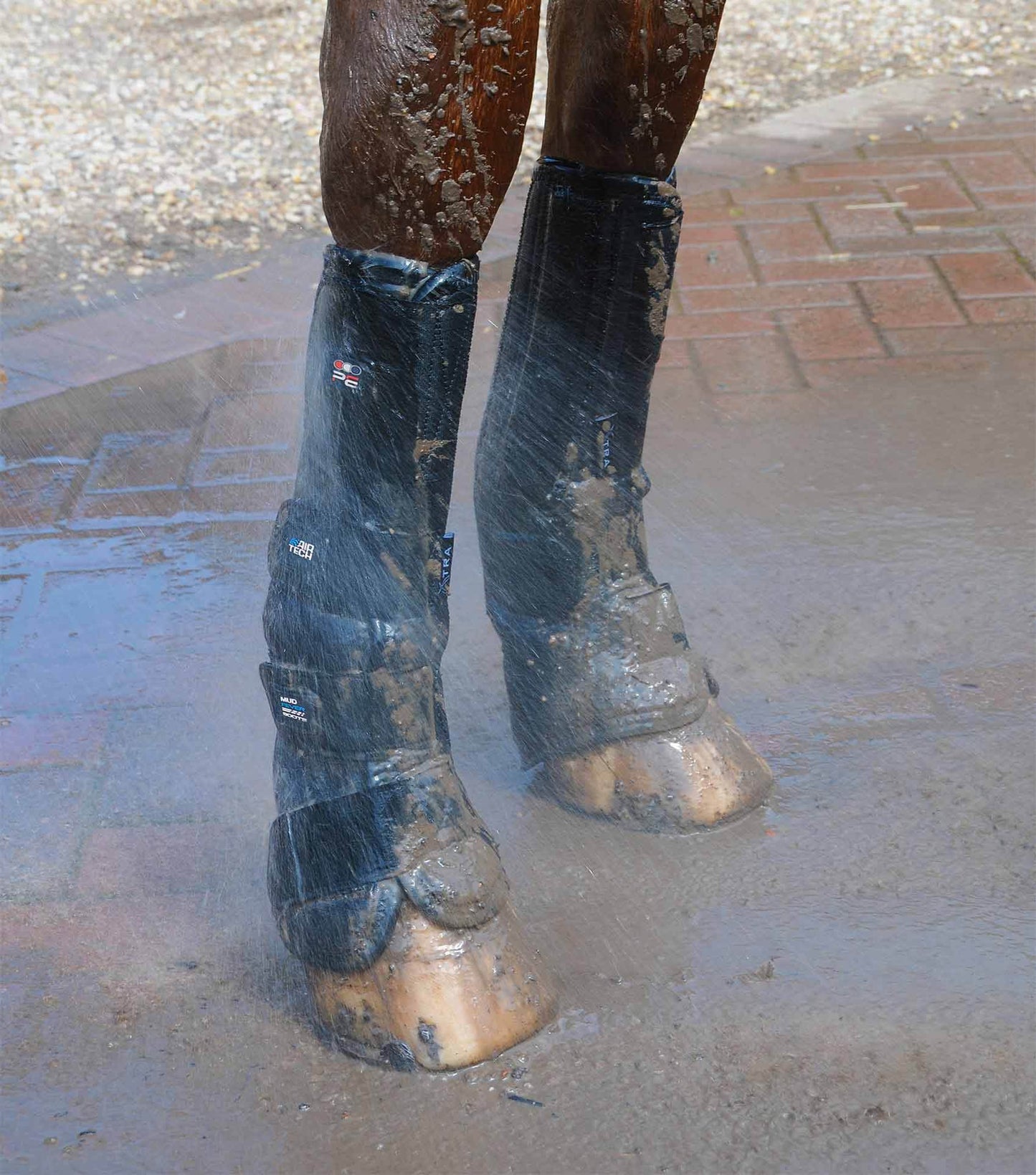 Premier Equine Turnout/Mud Fever Boots - N P Equestrian & Pet Supplies Ltd