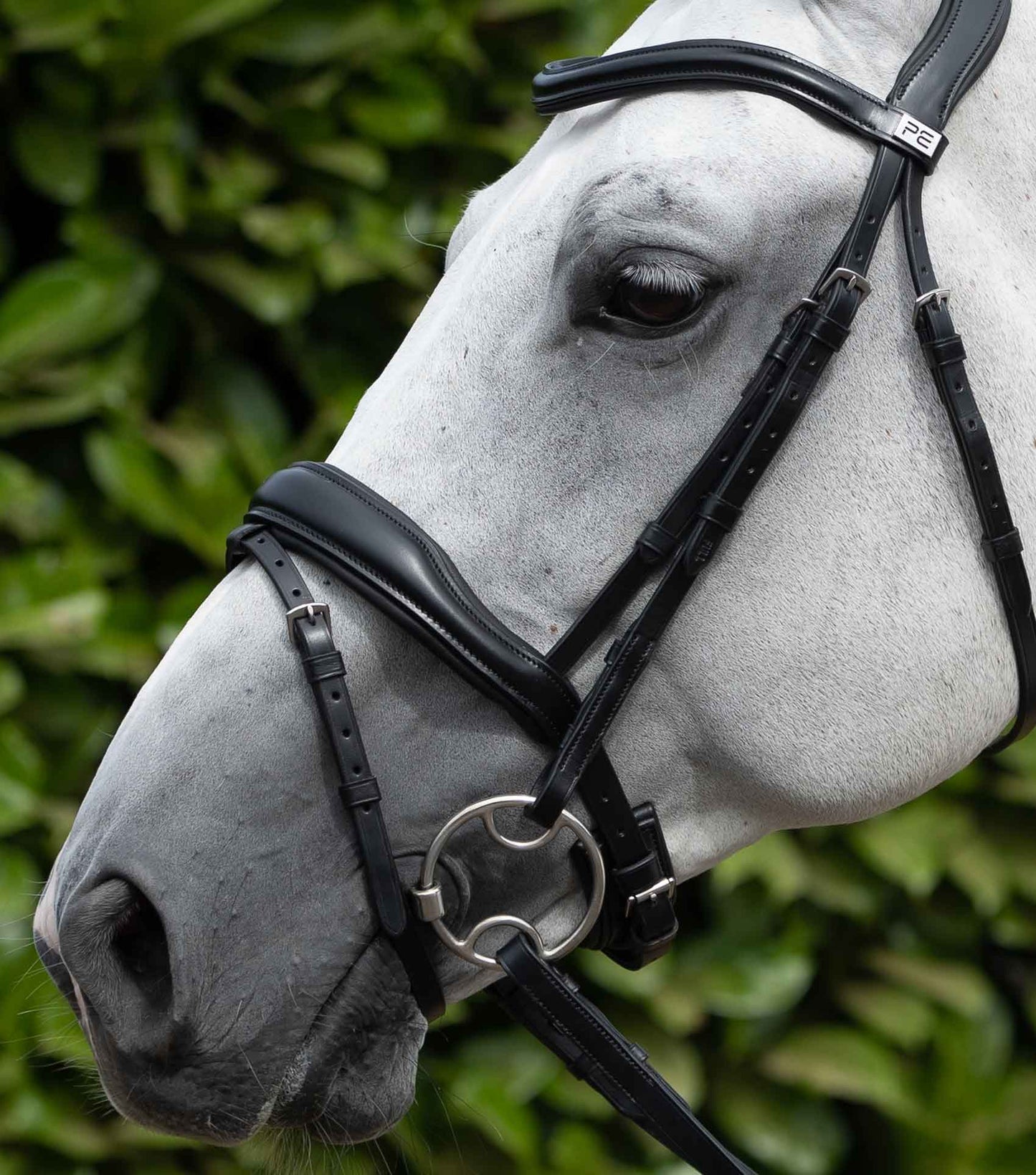 Premier Equine Cheek Pieces (Pair) Black