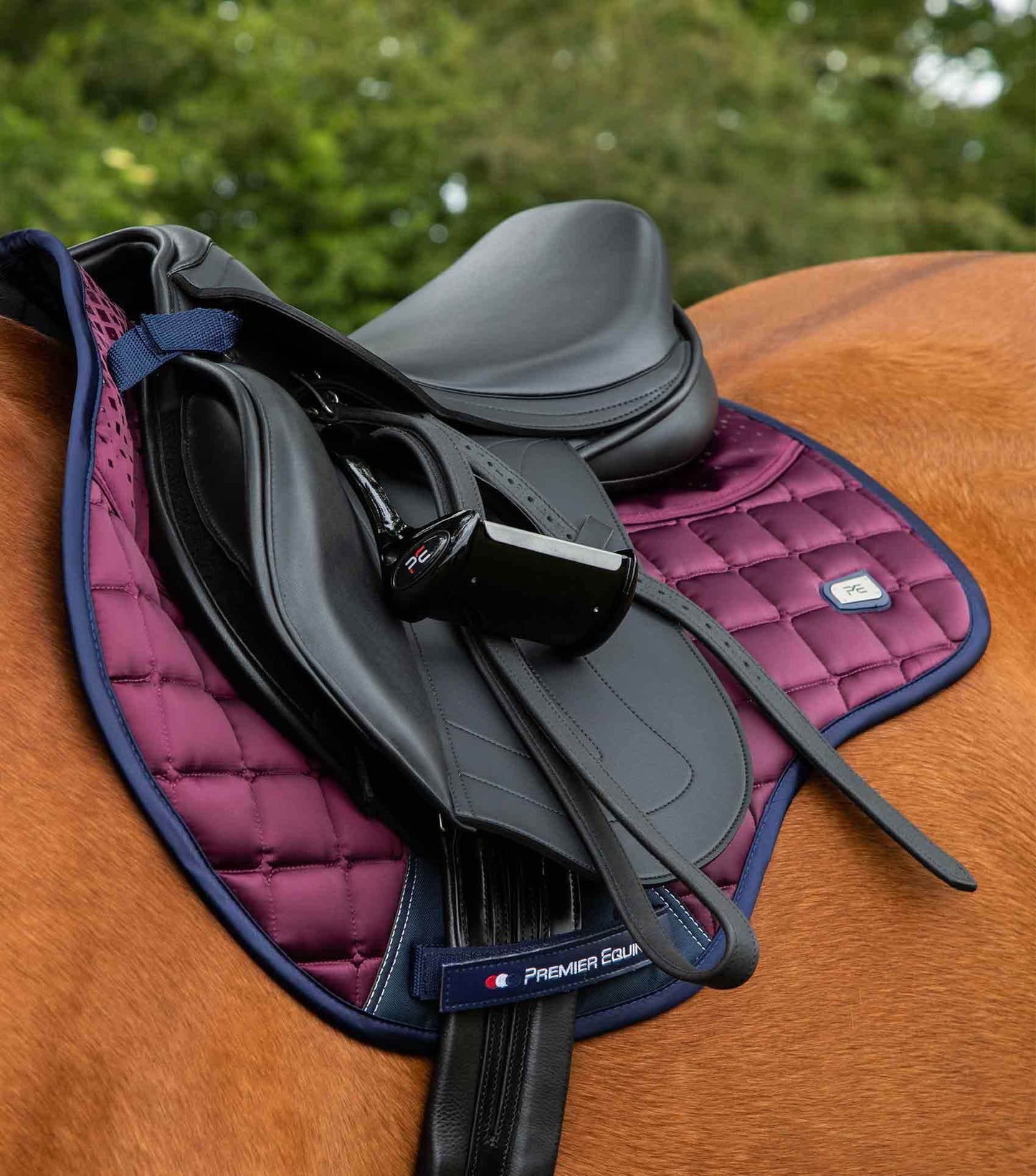 Premier Equine Armada Close Contact GP/Jump Square Wine - N P Equestrian & Pet Supplies Ltd