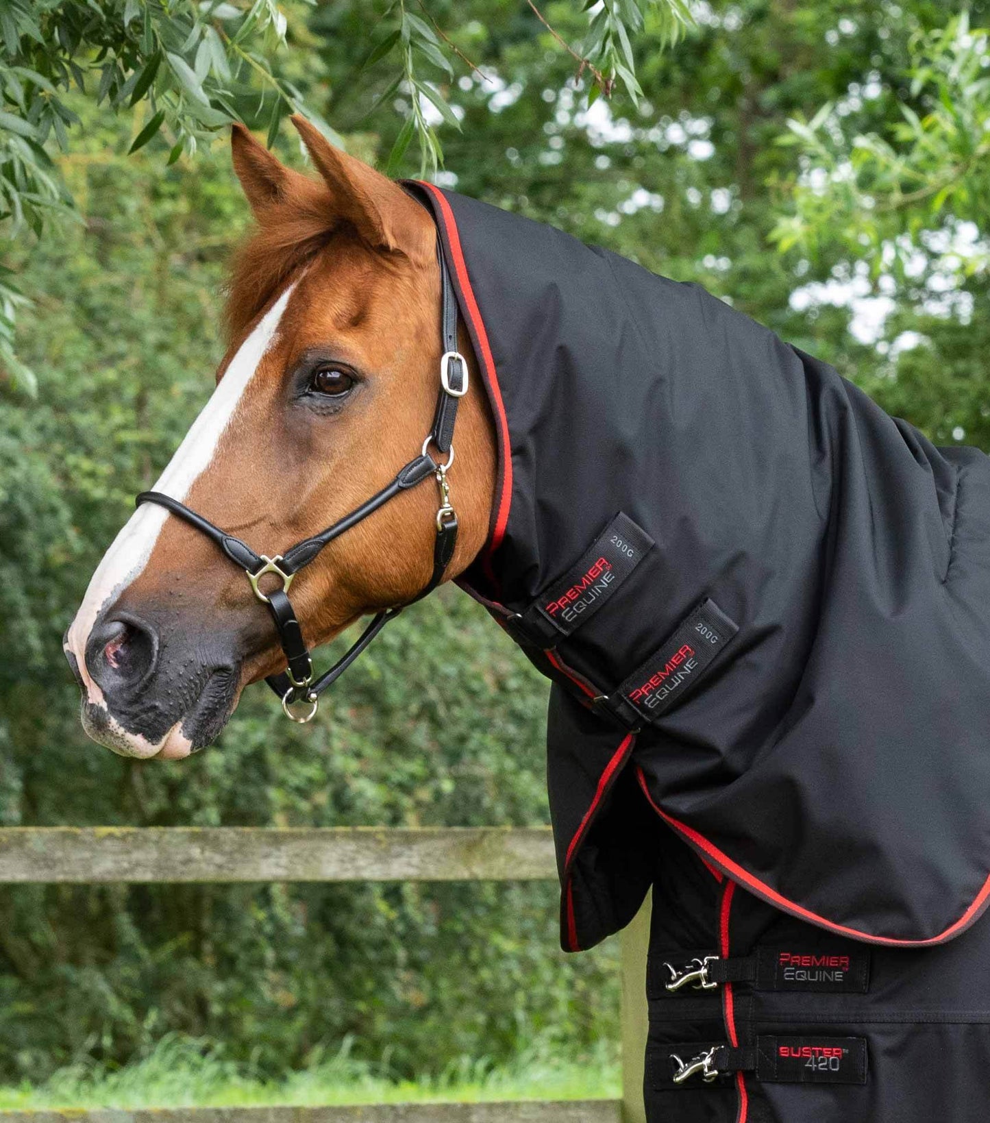 Premier Equine Buster 420g Turnout Rug with Classic Neck Cover Black - N P Equestrian & Pet Supplies Ltd