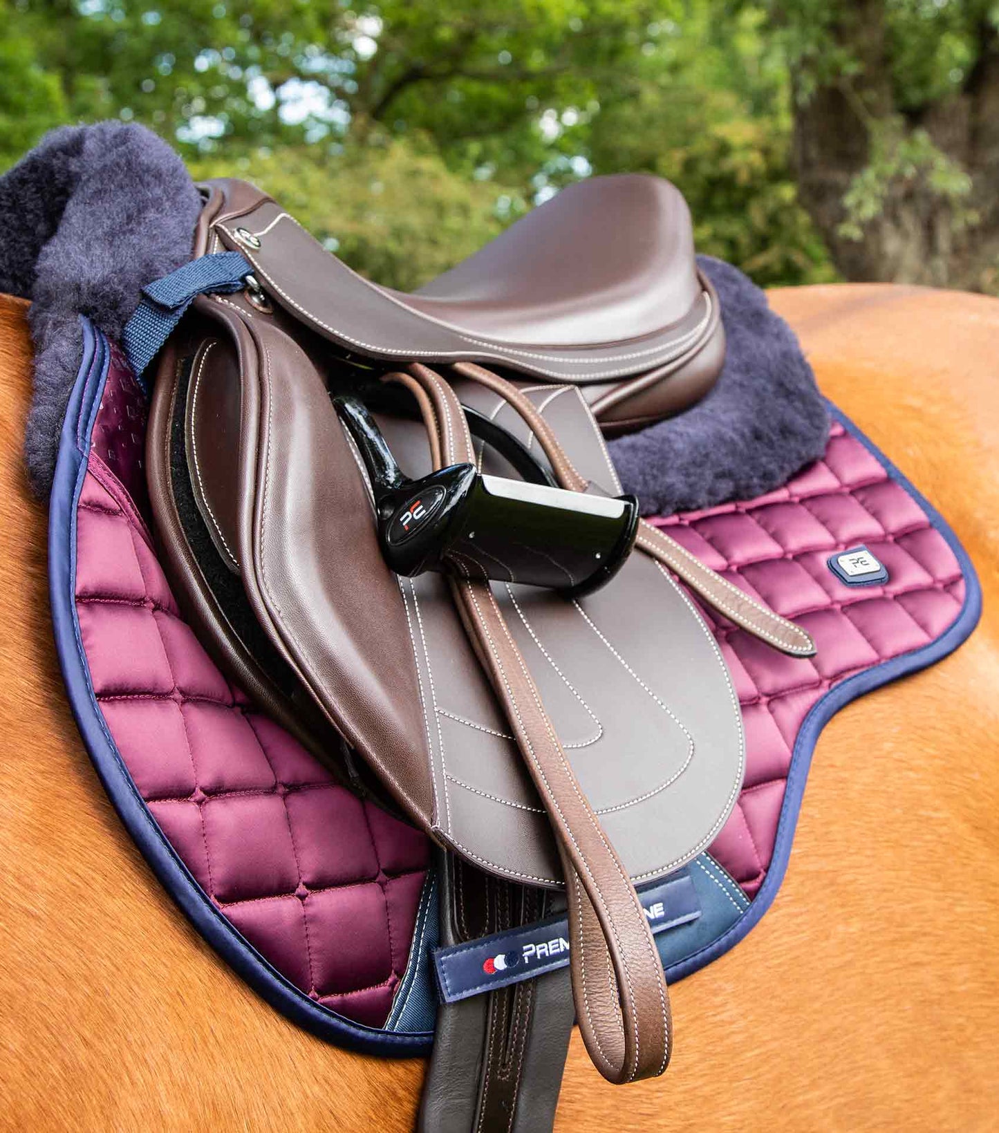Premier Equine Capella Close Contact Merino Wool GP/Jump Square Wine/Navy Wool