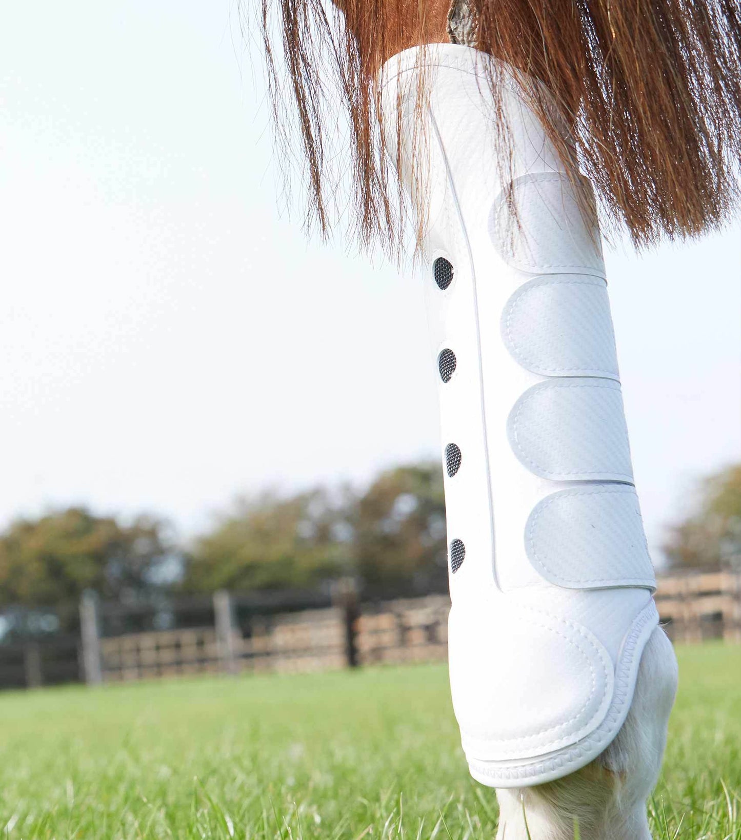 Premier Equine Carbon Tech Air Cooled Eventing Boots Hind - N P Equestrian & Pet Supplies Ltd