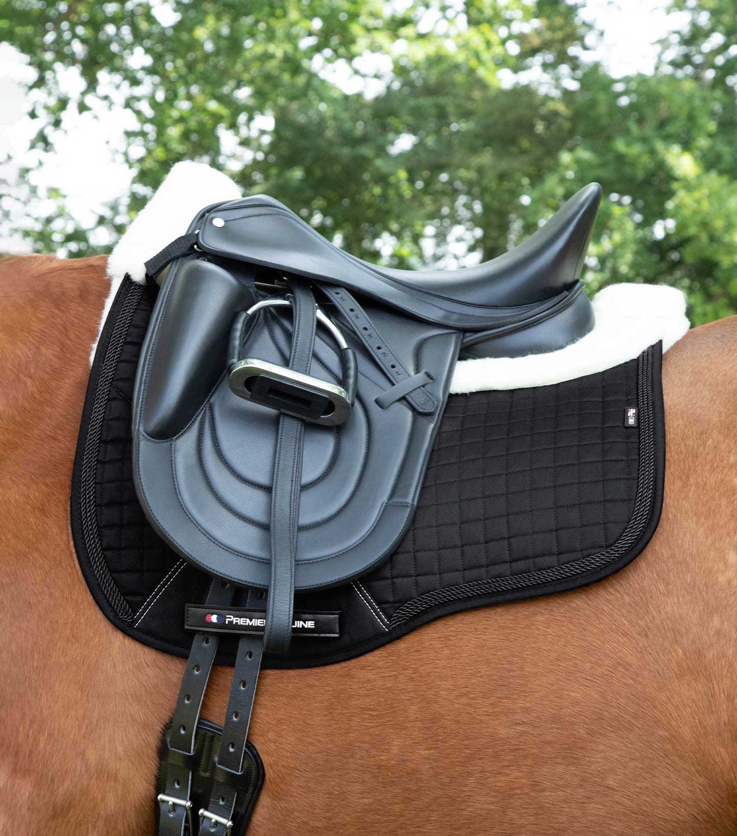 Premier Equine Close Contact Merino Wool European Saddle Pad - Dressage Saddle Pad Black/Natural Wool
