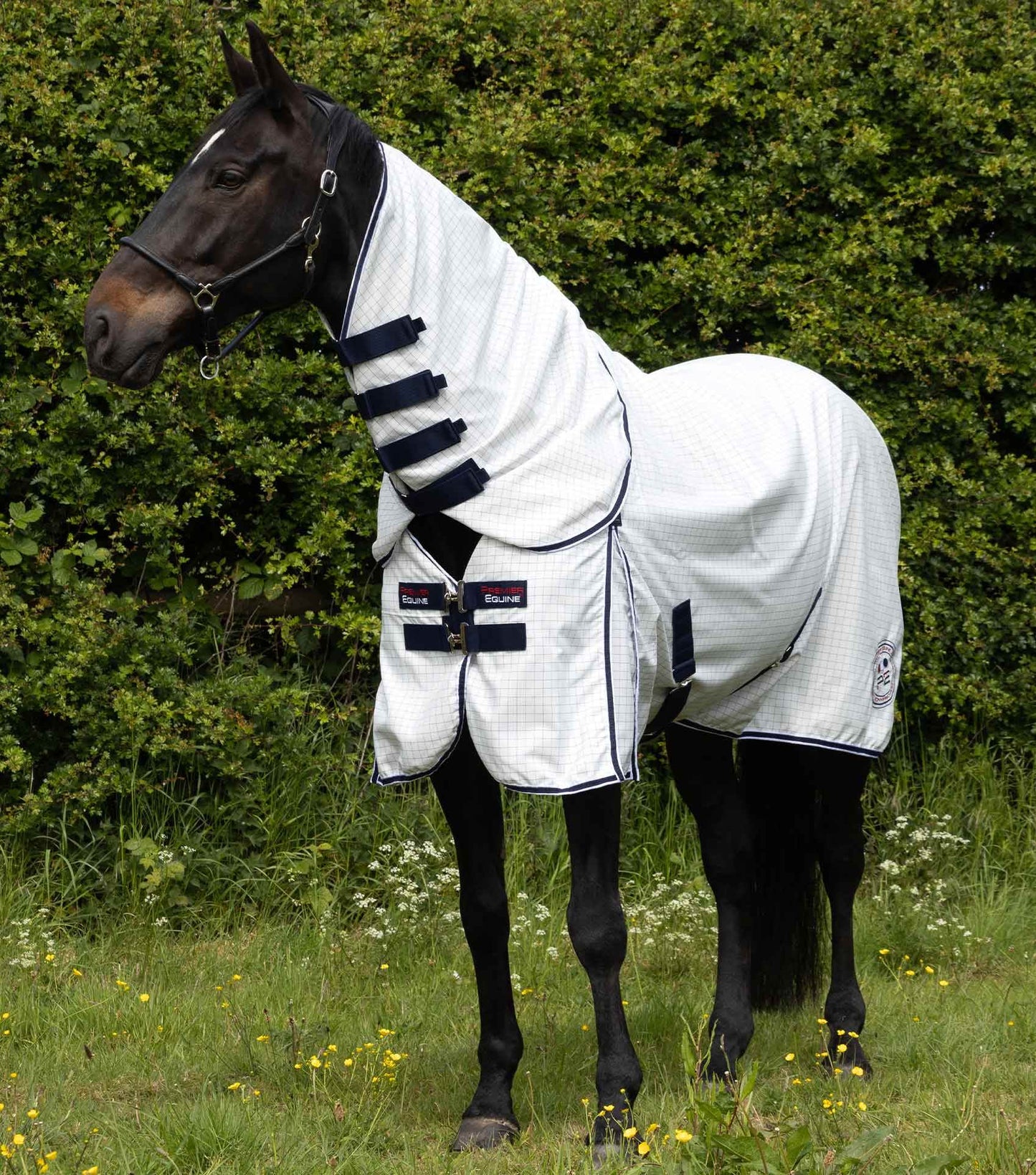 Premier Equine Cotone Combo Stable Sheet - N P Equestrian & Pet Supplies Ltd