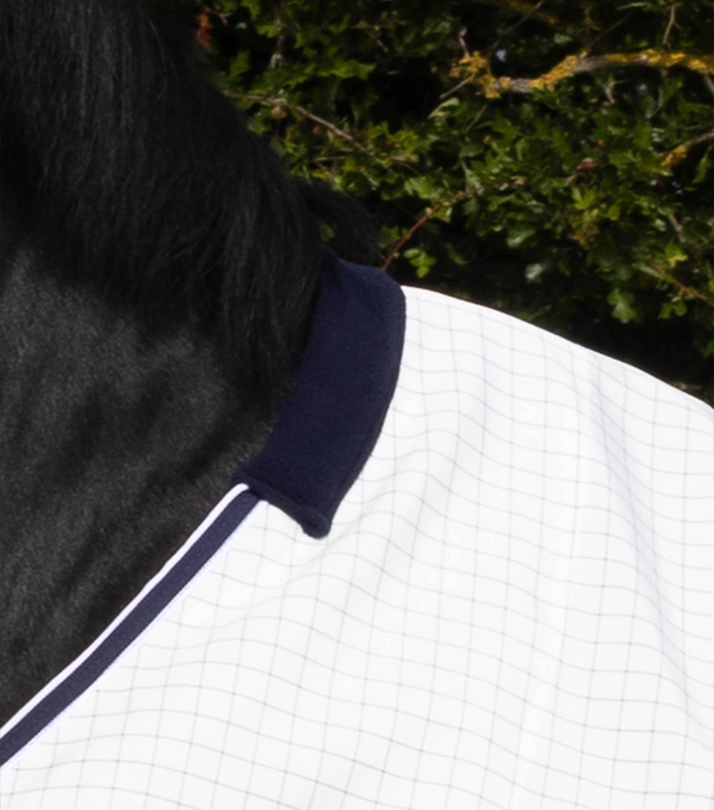 Premier Equine Cotone Original Stable Sheet - N P Equestrian & Pet Supplies Ltd