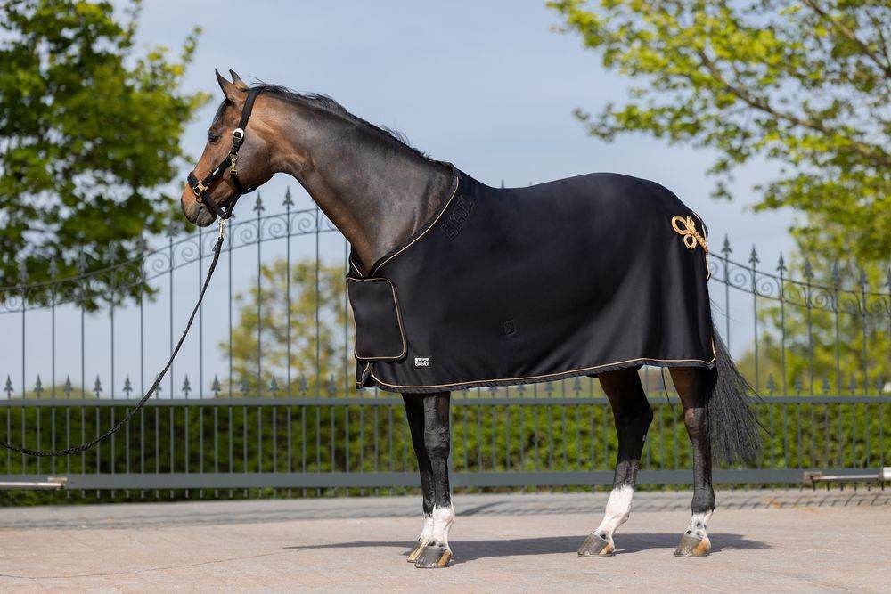 Eskadron SOFTSHELL AIR Sweat Rug Black - N P Equestrian & Pet Supplies Ltd