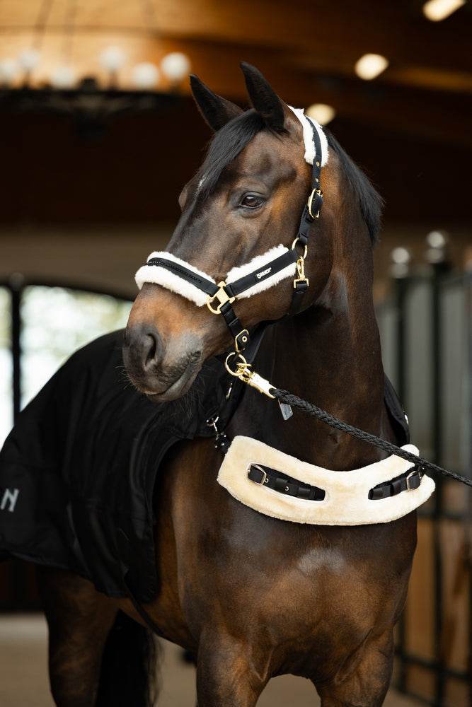 Eskadron DELTA II FLEECE + 50 g Walker Rug - N P Equestrian & Pet Supplies Ltd