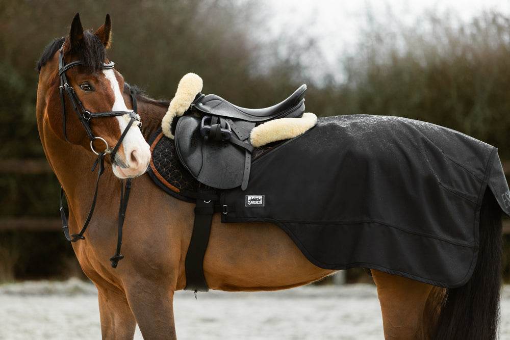 Eskadron LUNGE & EXERCISE Exercise Sheet - N P Equestrian & Pet Supplies Ltd