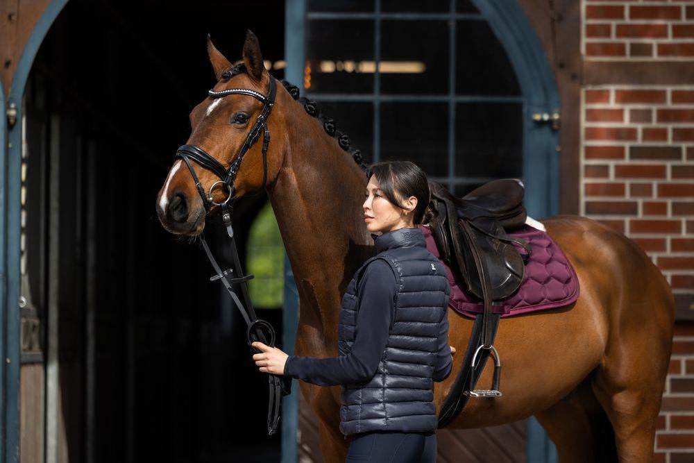 Eskadron GLOSSY EVO-WOOL DRESSAGE Saddle Cloth Blackberry - N P Equestrian & Pet Supplies Ltd