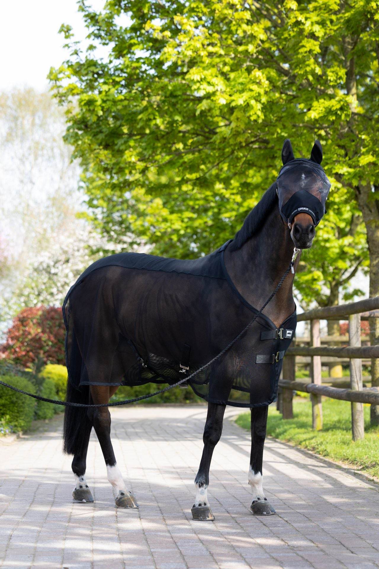 Eskadron PRO COVER DURA Fly Sheet Black - N P Equestrian & Pet Supplies Ltd