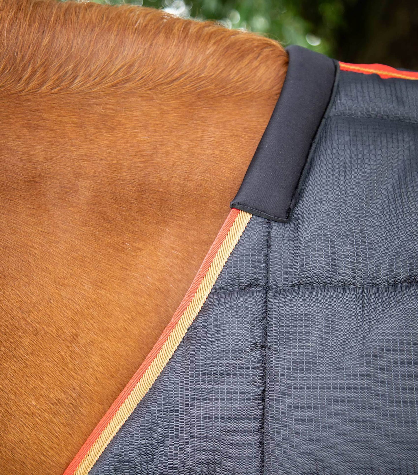 Premier Equine Garissa Stable Rug 400g Black - N P Equestrian & Pet Supplies Ltd