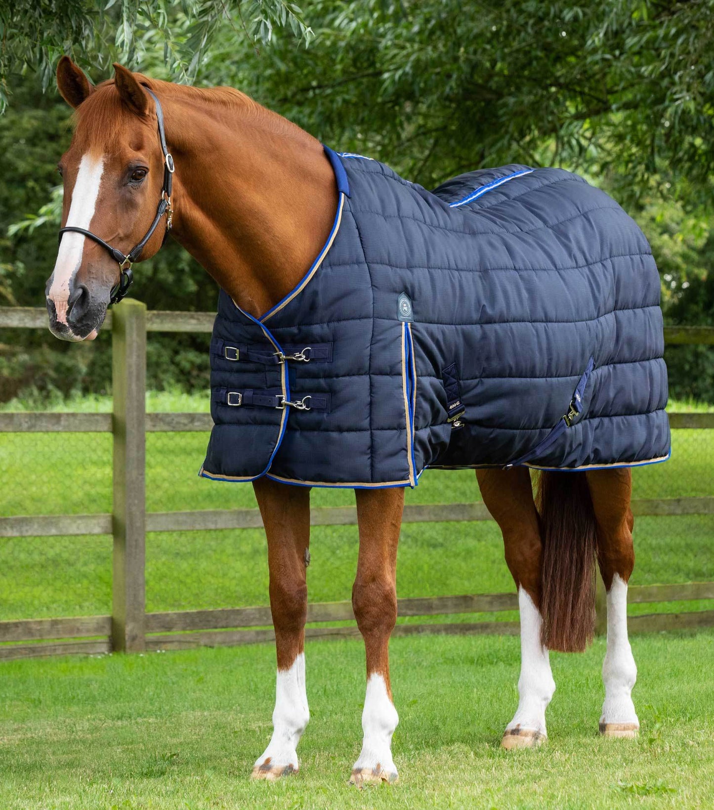 Premier Equine Garissa Stable Rug 400g Navy - N P Equestrian & Pet Supplies Ltd