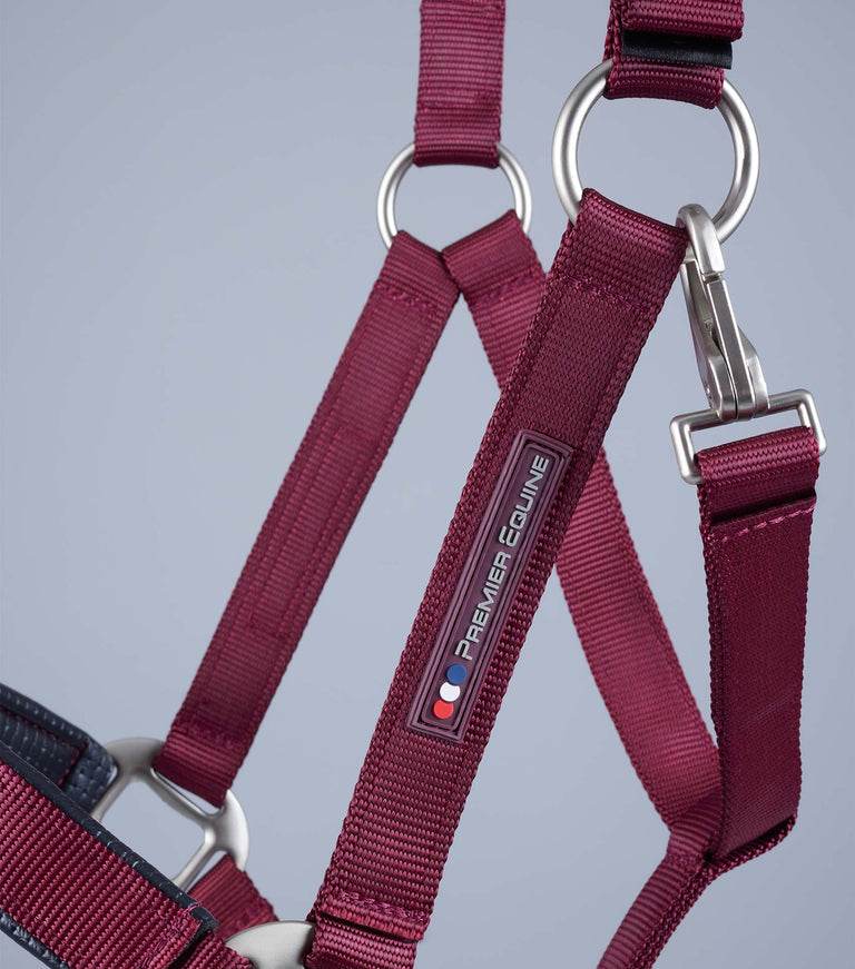 Premier Equine Plain Padded Horse Head Collar - N P Equestrian & Pet Supplies Ltd