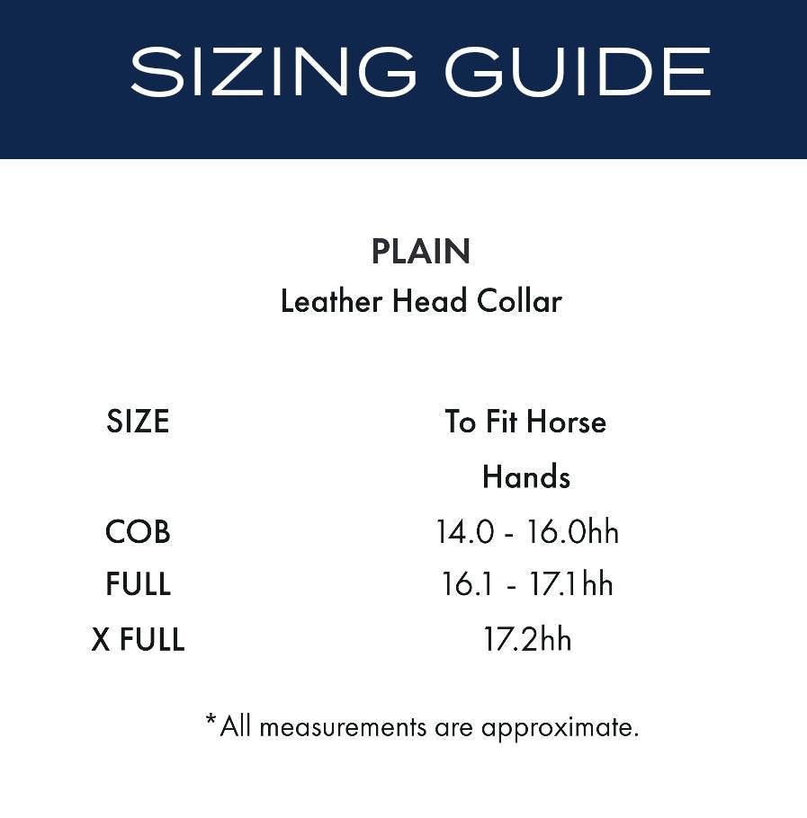 Premier Equine Pasco Plain Leather Head Collar Brown - N P Equestrian & Pet Supplies Ltd