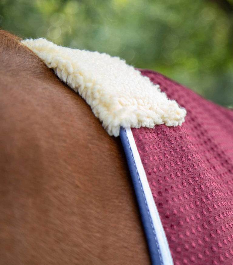 Premier Equine Buster Waffle Horse Cooler Rug - N P Equestrian & Pet Supplies Ltd