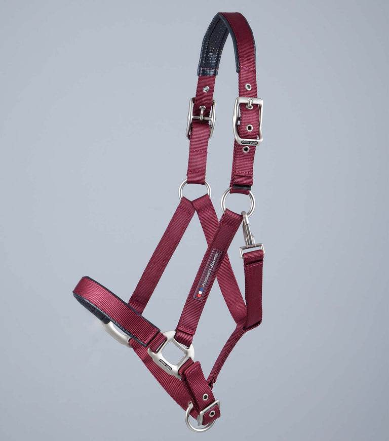 Premier Equine Plain Padded Horse Head Collar - N P Equestrian & Pet Supplies Ltd