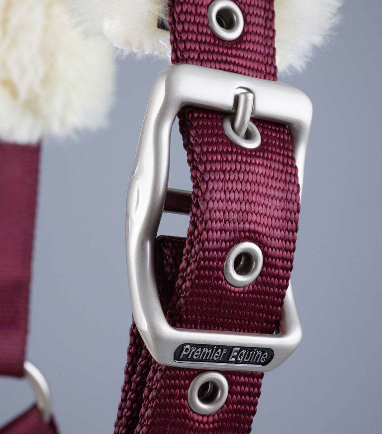 Premier Equine Techno Wool Lined Head Collar - N P Equestrian & Pet Supplies Ltd
