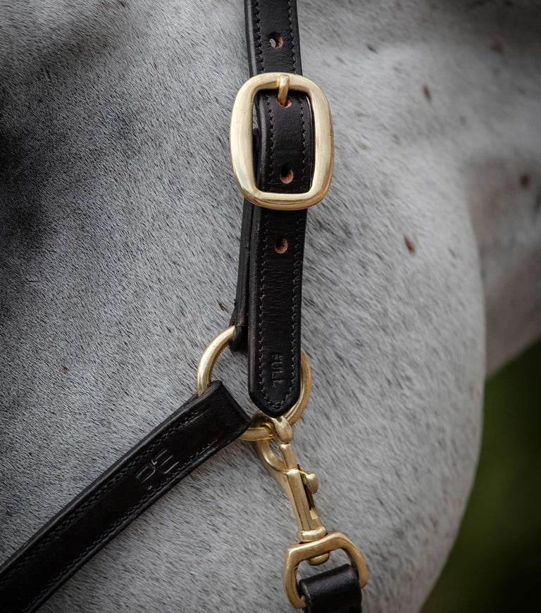 Premier Equine Rego Padded Leather Head Collar - N P Equestrian & Pet Supplies Ltd
