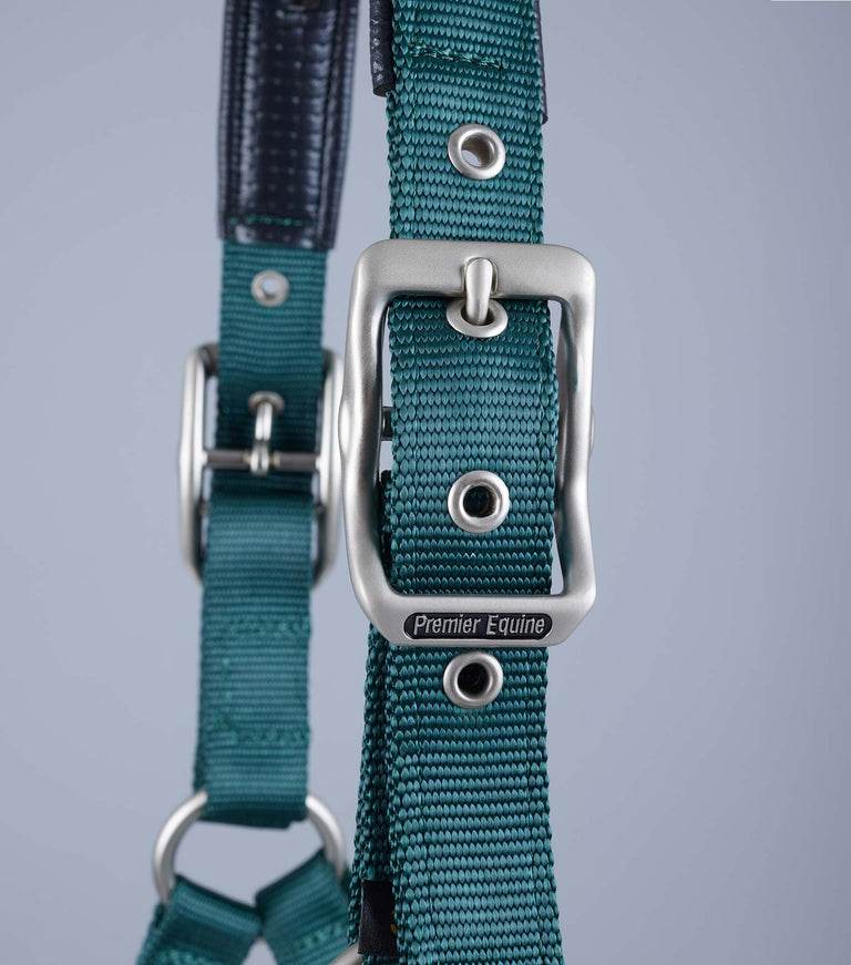 Premier Equine Plain Padded Horse Head Collar - N P Equestrian & Pet Supplies Ltd