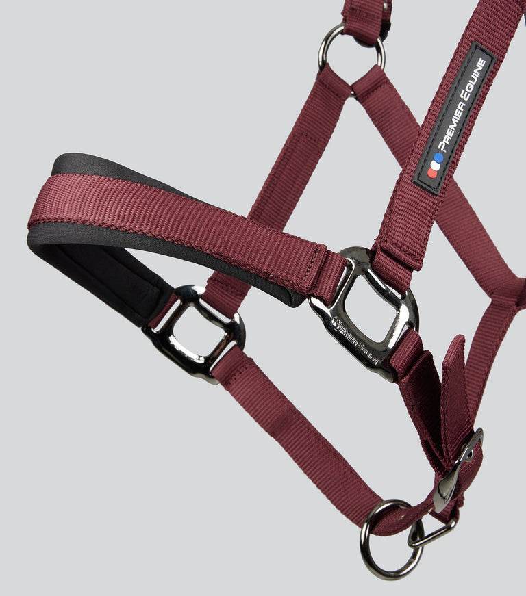 Premier Equine Corda Padded Head Collar with Lead Rope - N P Equestrian & Pet Supplies Ltd
