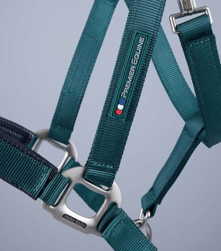 Premier Equine Plain Padded Horse Head Collar - N P Equestrian & Pet Supplies Ltd