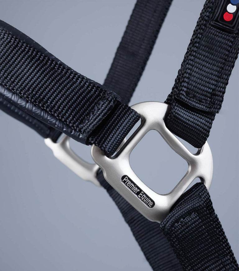 Premier Equine Plain Padded Horse Head Collar - N P Equestrian & Pet Supplies Ltd