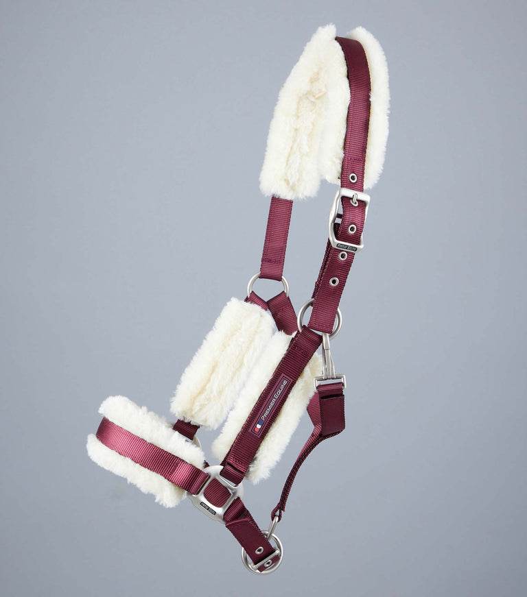 Premier Equine Techno Wool Lined Head Collar - N P Equestrian & Pet Supplies Ltd