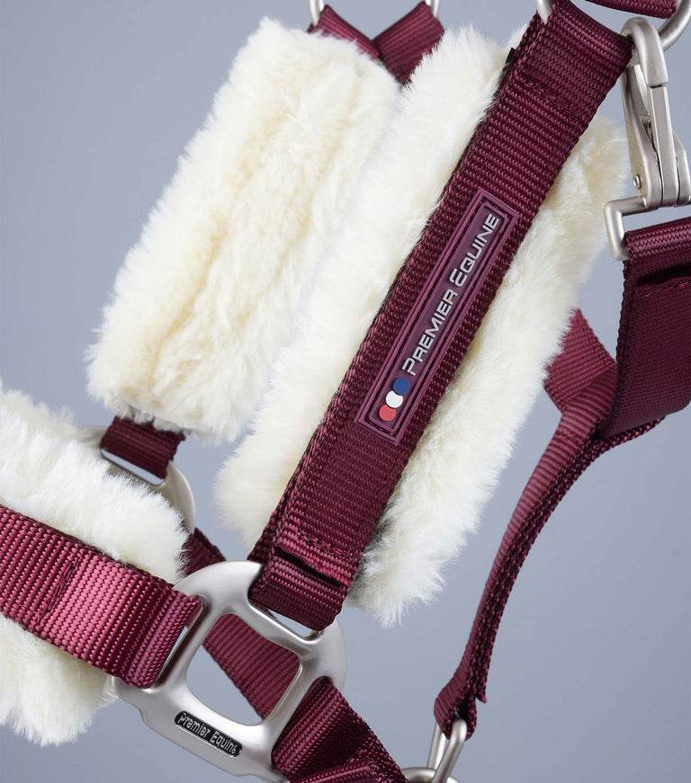 Premier Equine Techno Wool Lined Head Collar - N P Equestrian & Pet Supplies Ltd