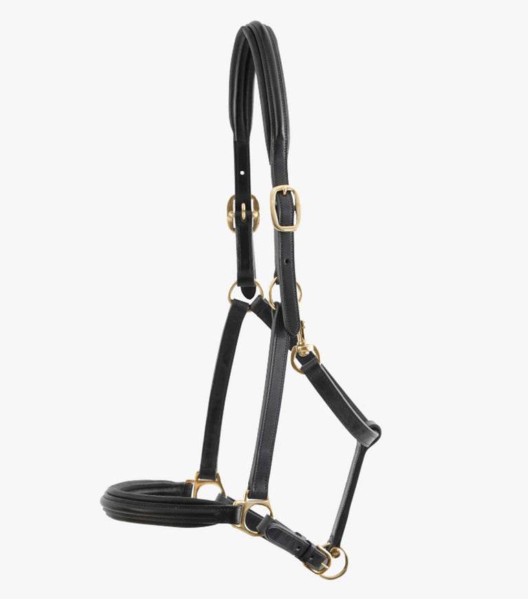 Premier Equine Rego Padded Leather Head Collar - N P Equestrian & Pet Supplies Ltd