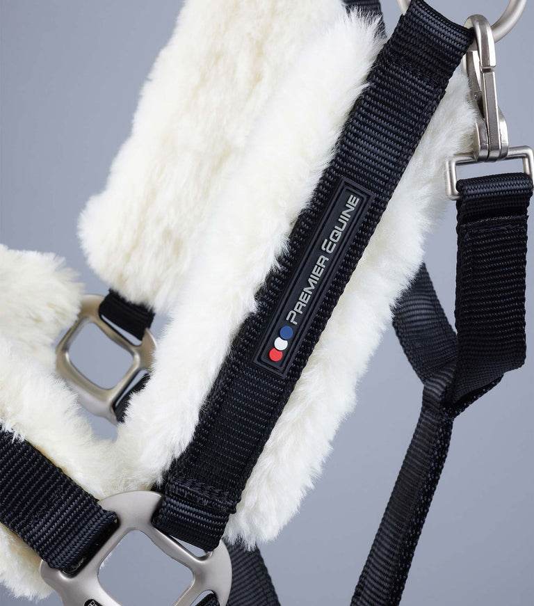 Premier Equine Techno Wool Lined Head Collar - N P Equestrian & Pet Supplies Ltd