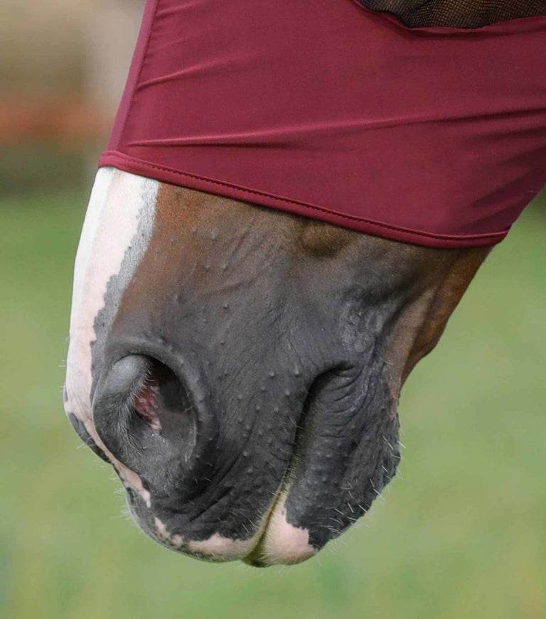 Premier Equine Comfort Tech Lycra Fly Mask - N P Equestrian & Pet Supplies Ltd