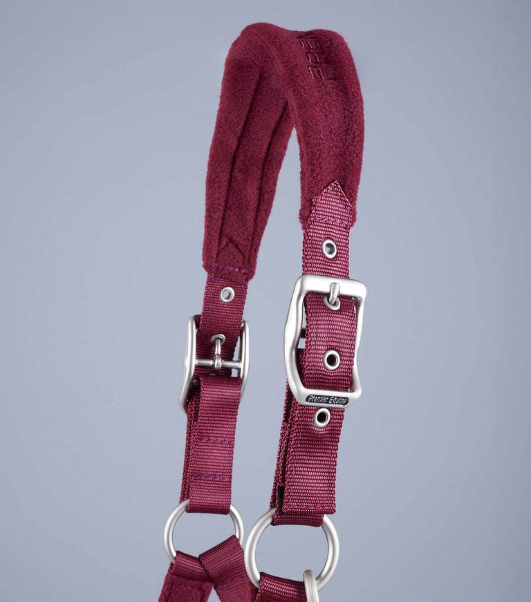 Premier Equine Fleece Padded Head Collar - N P Equestrian & Pet Supplies Ltd