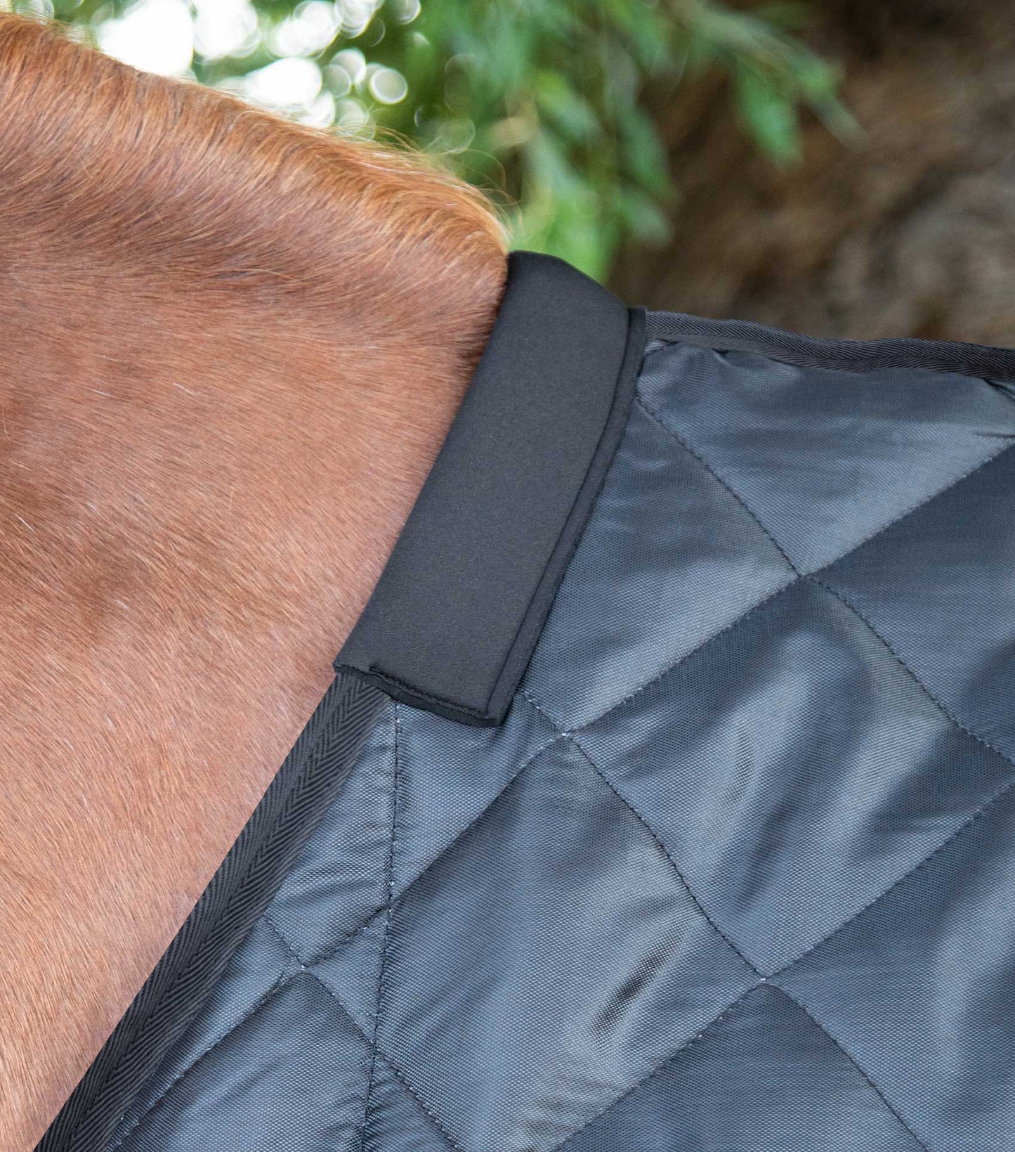 Premier Equine Tuscan Stable Rug 200g Black