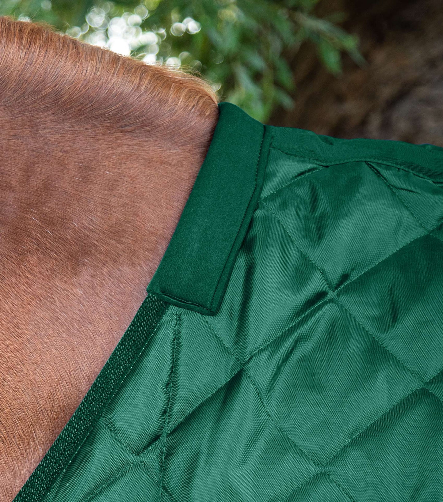 Premier Equine Tuscan Stable Rug 200g Green