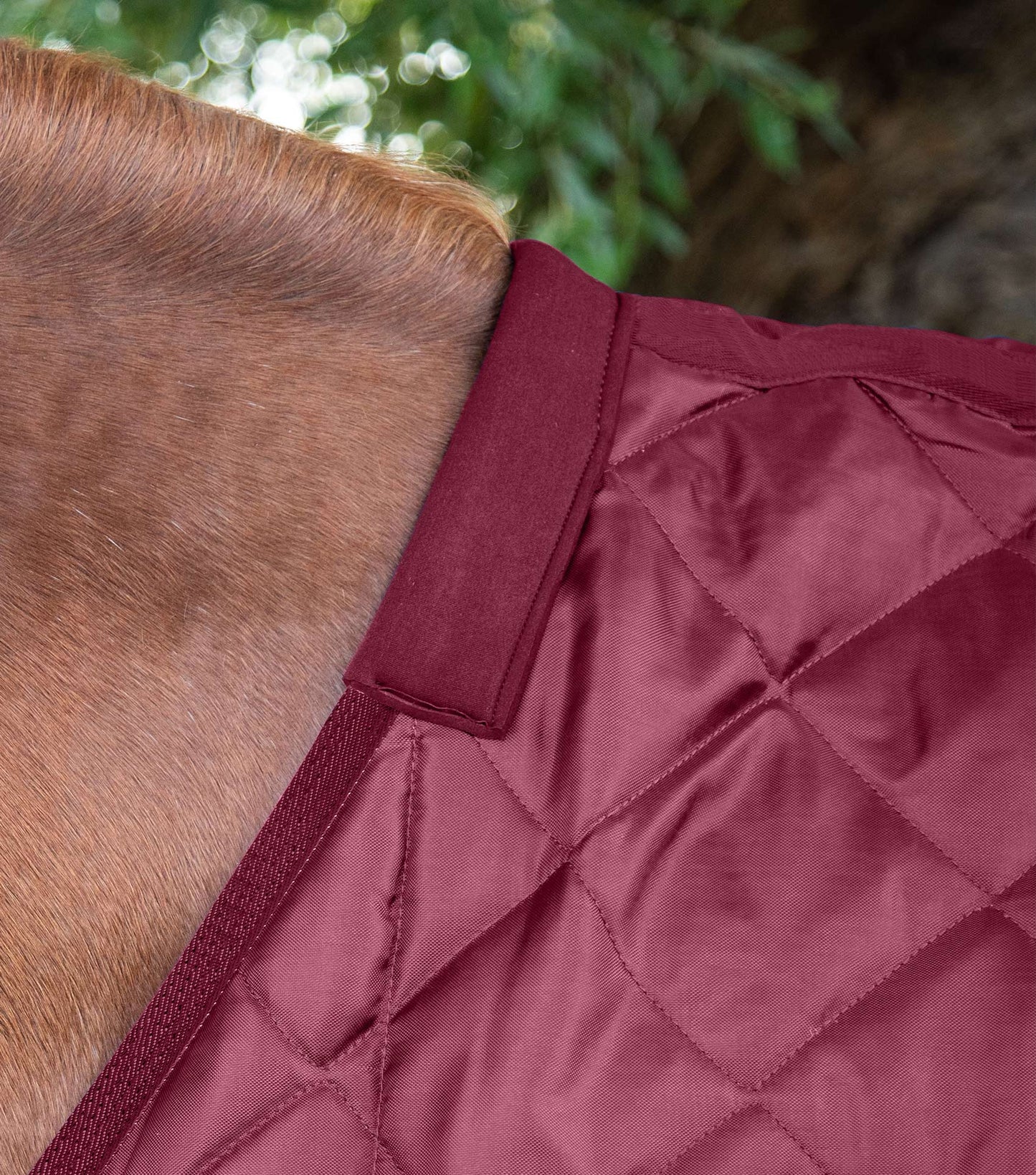 Premier Equine Tuscan Stable Rug 200g Burgundy