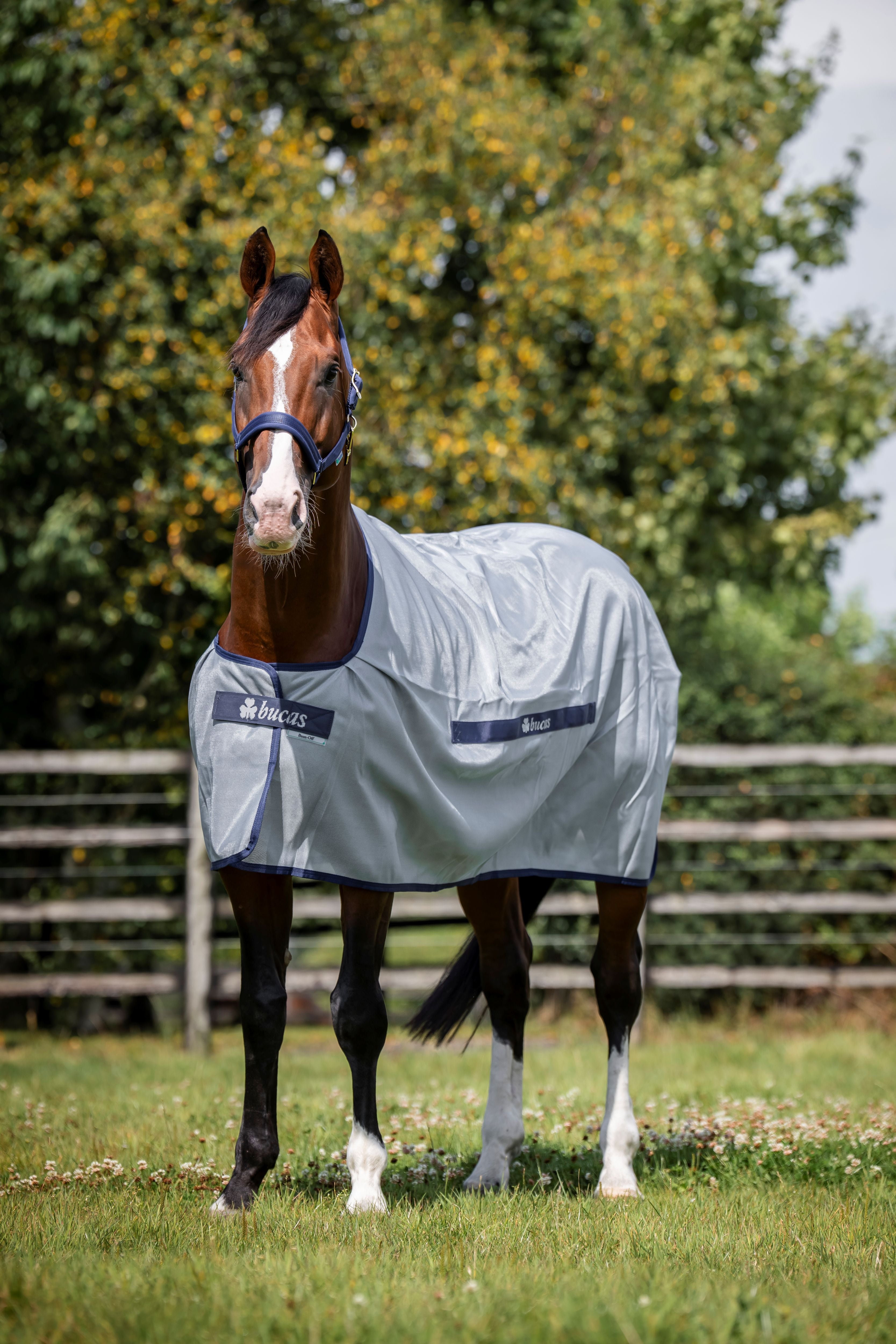 Fly Rugs - N P Equestrian & Pet Supplies Ltd