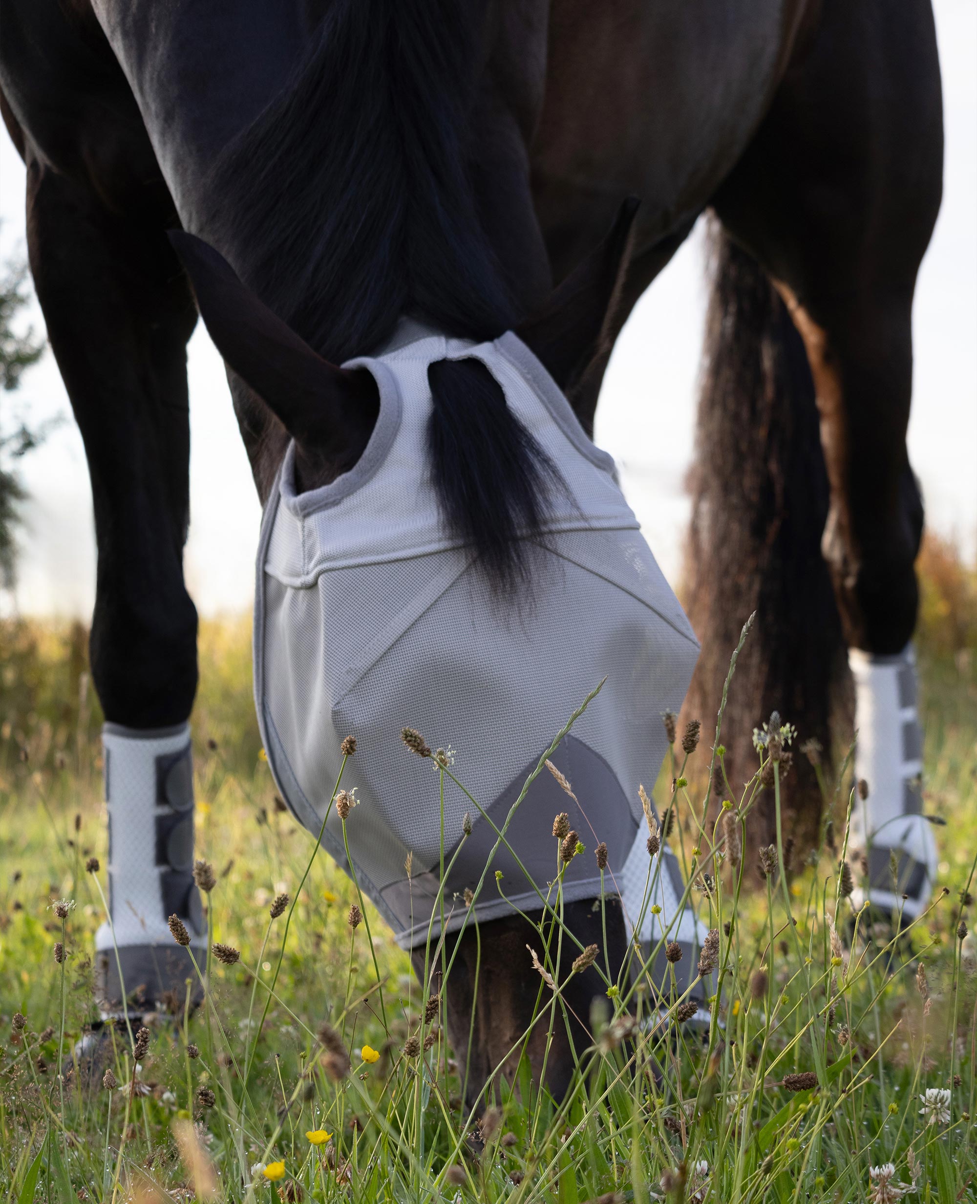 Fly Masks - N P Equestrian & Pet Supplies Ltd 