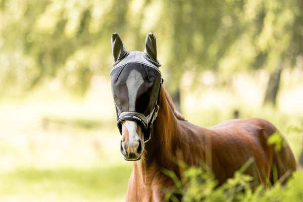Fly Masks - N P Equestrian & Pet Supplies Ltd 