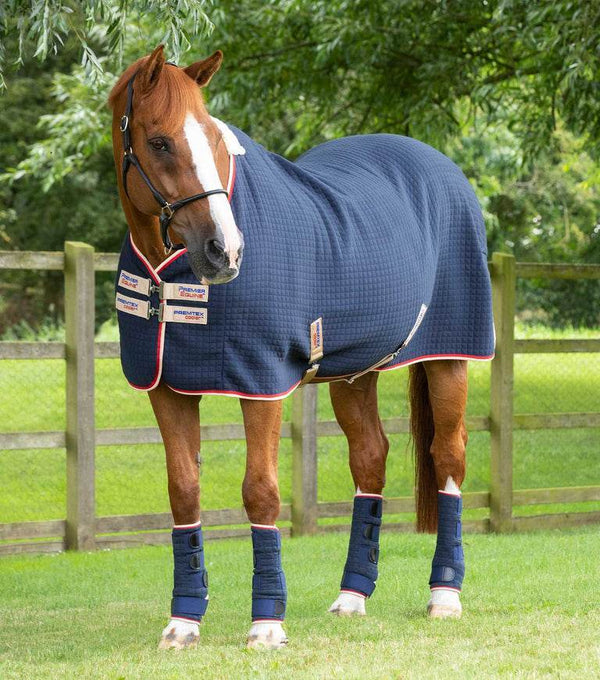 Cooler, Sheets & Travel Rugs - N P Equestrian & Pet Supplies Ltd 