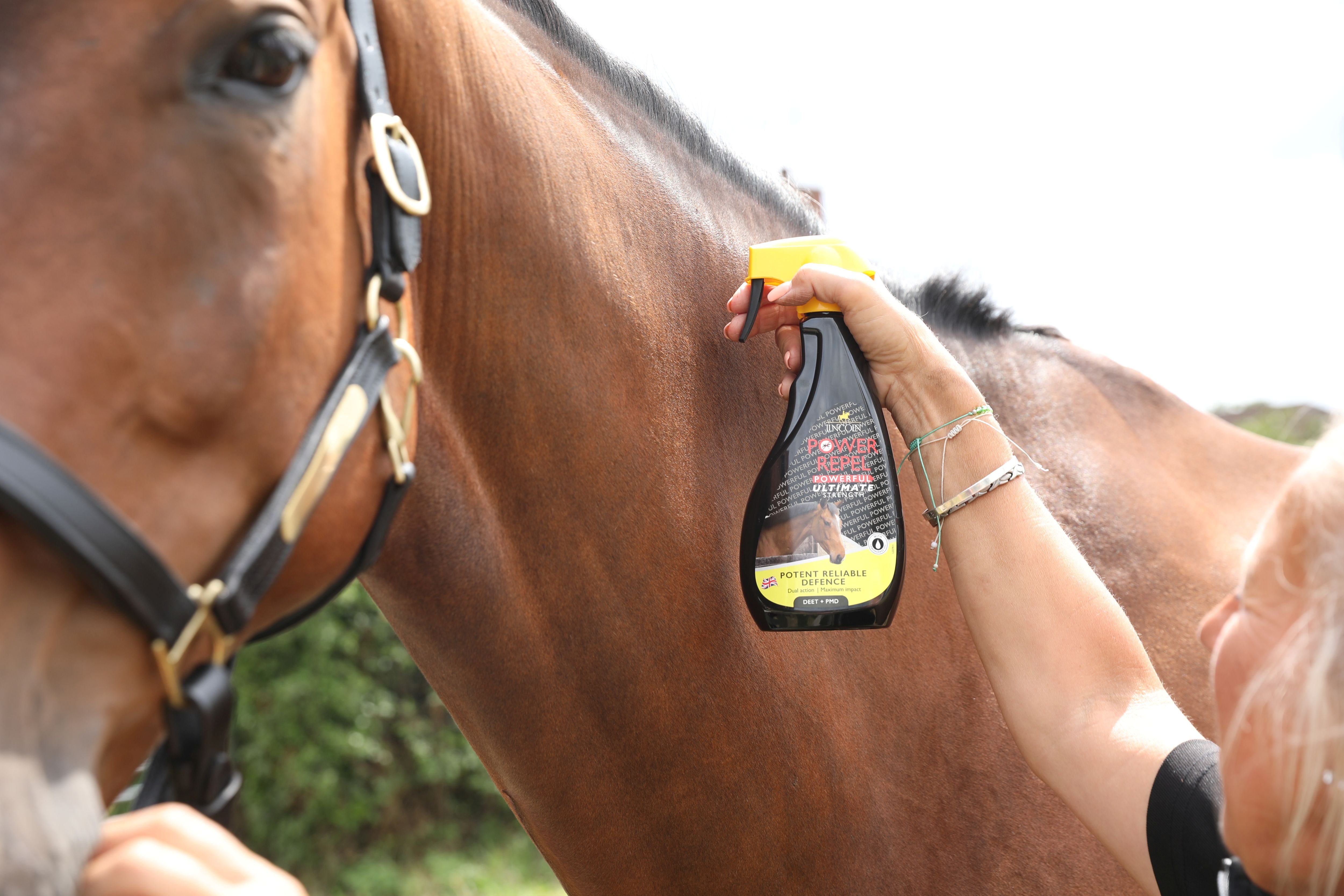 Insect & Fly Repellent for Horses - N P Equestrian & Pet Supplies Ltd 