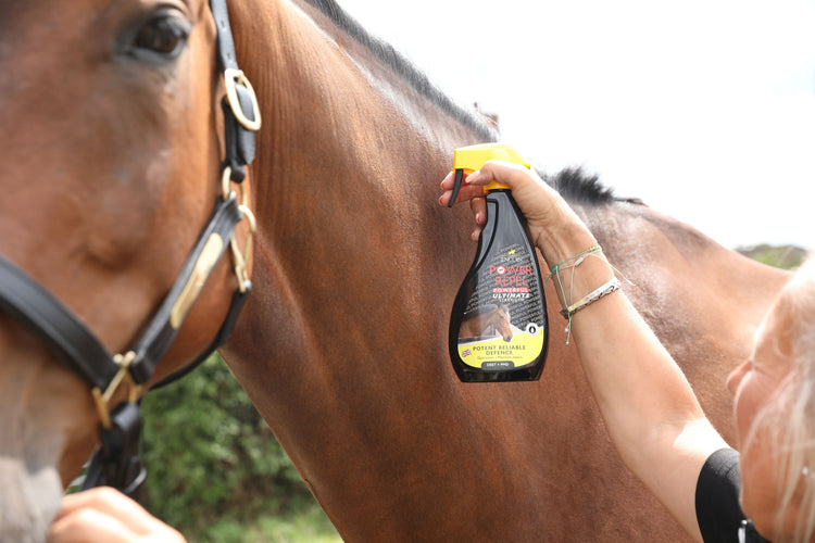 Insect & Fly Repellent for Horses - N P Equestrian & Pet Supplies Ltd 