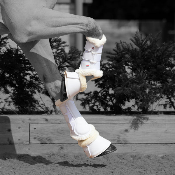 Boots & Bandages - N P Equestrian & Pet Supplies Ltd 